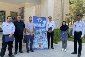 دومین دوره AMLS
